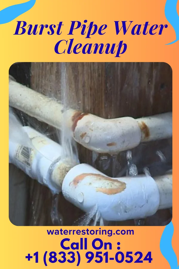 Burst Pipe Water Cleanup in Red Butte, WY