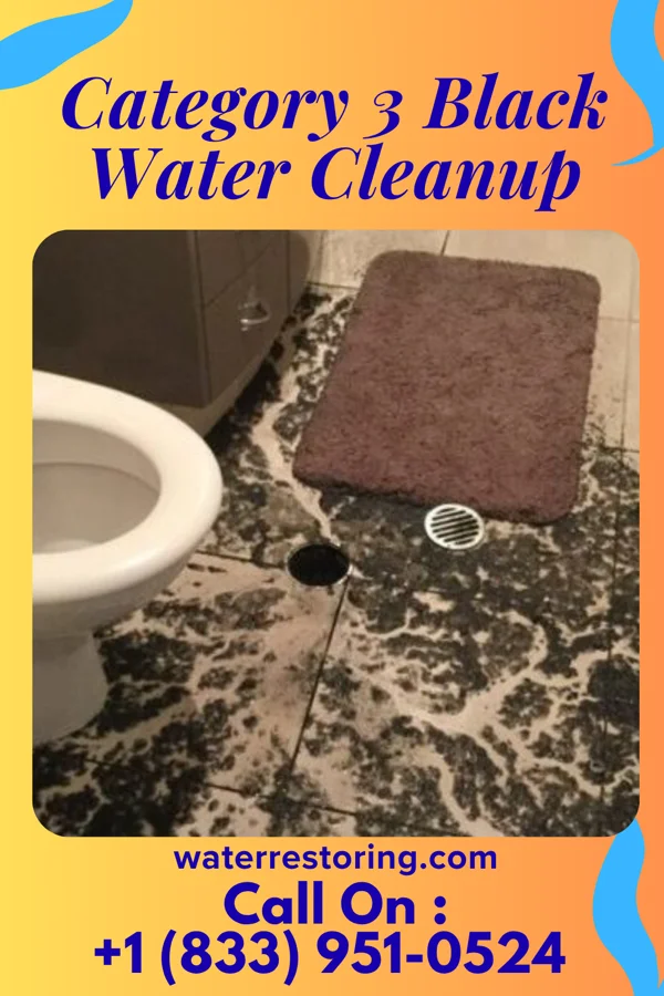 Category 3 Black Water Cleanup in Red Butte, WY