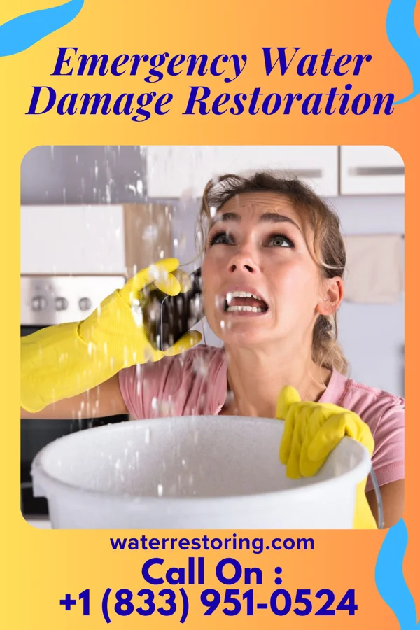 Emergency Water Damage Restoration in Red Butte, WY
