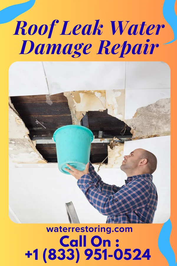 Roof Leak Water Damage Repair in Red Butte, WY