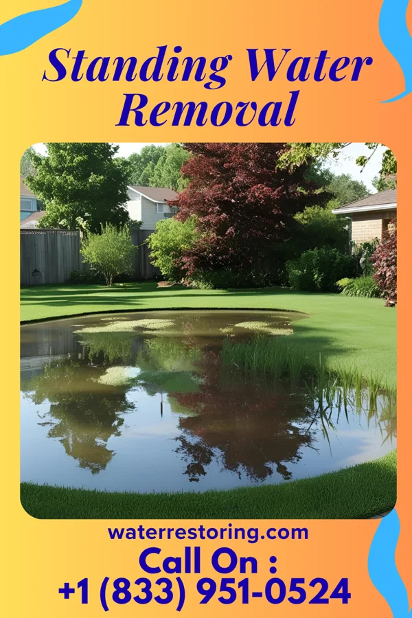 Standing Water Removal in Red Butte, WY